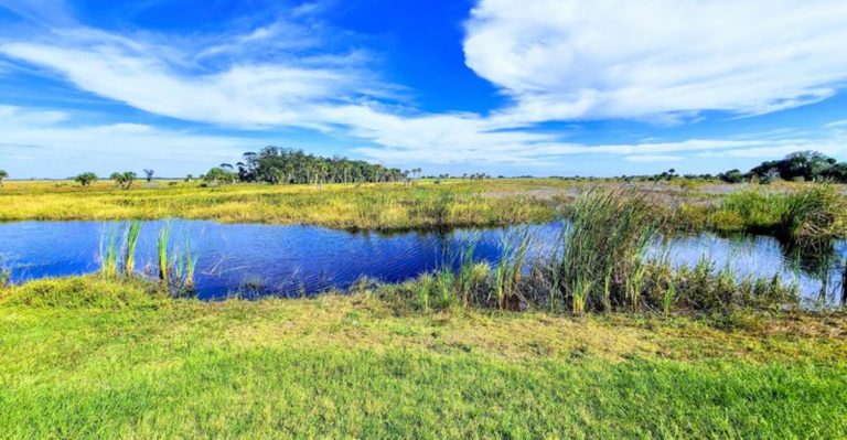This 54,000-Acre Florida State Park Is So Little Known, Even Locals Don’t Know It Exists