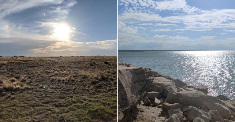 This Colorado Lake Shore Is Getting Too Snake-Infested For Its Own Good