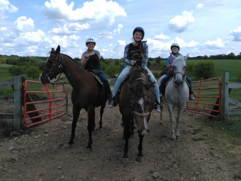 8 Illinois Stables Where Beginners Ride Gentle Horses Through Fall Woods