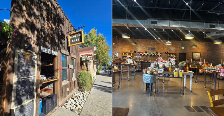 12 Colorado Vegan Lunch Spots Locals Keep Coming Back To All Year Round