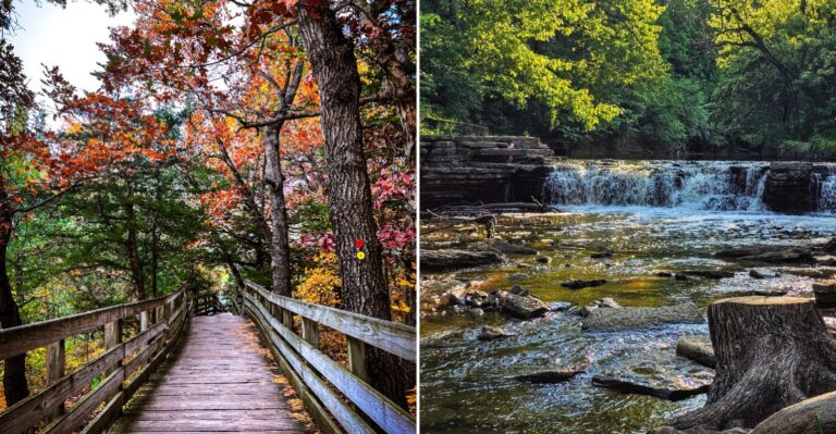 10 Easy Illinois Fall Trails That Look Like They Were Painted For A Movie Set