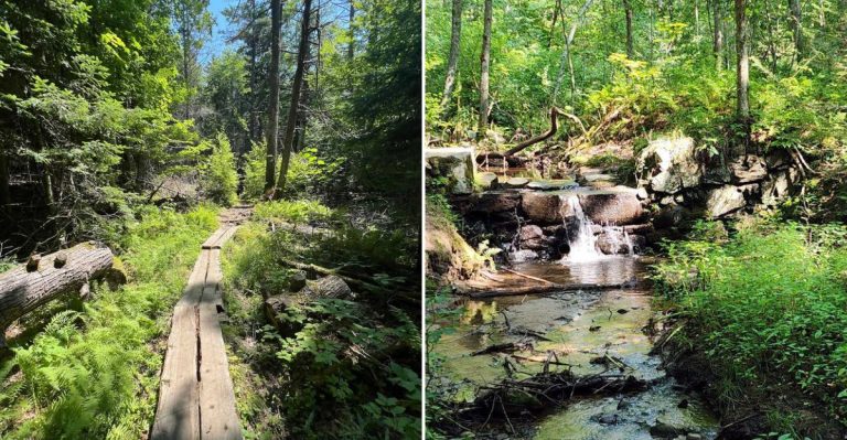 Maine’s Tick Map Pinpoints The Counties Around These 12 Wooded Destinations