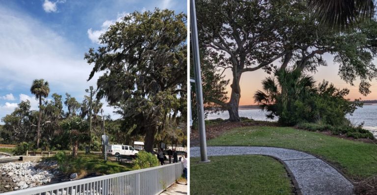 Spend The Night In A Real South Carolina Lighthouse That Feels Straight Out Of A Nicholas Sparks Novel