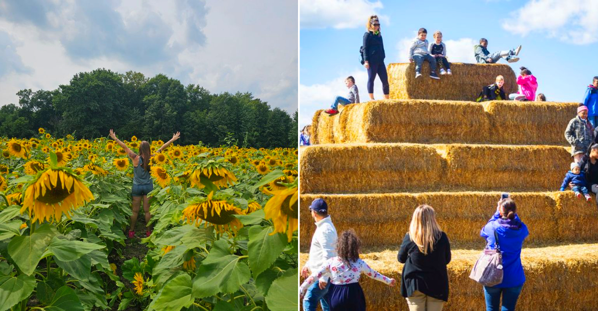 Blake’s Orchard & Cider Mill