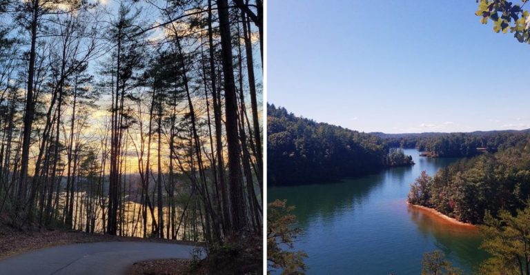 This South Carolina State Park Gets Zero Crowds And All The Fall Beauty
