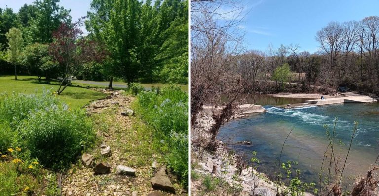 These 8 Nature Centers Define Great Snake Spotting In Arkansas
