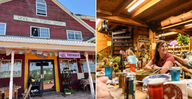 Maine’s First Organic Dairy Is Now A Country Farm Store You Could Browse For Hours