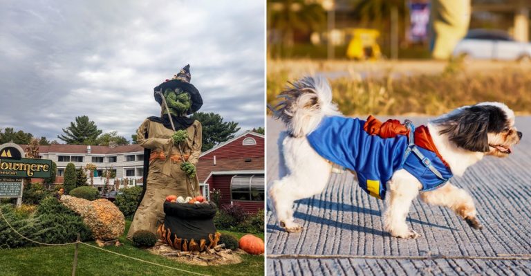 This Maine Beach Town Hosts A Halloween Festival With A Dog Costume Parade And High Heel Race