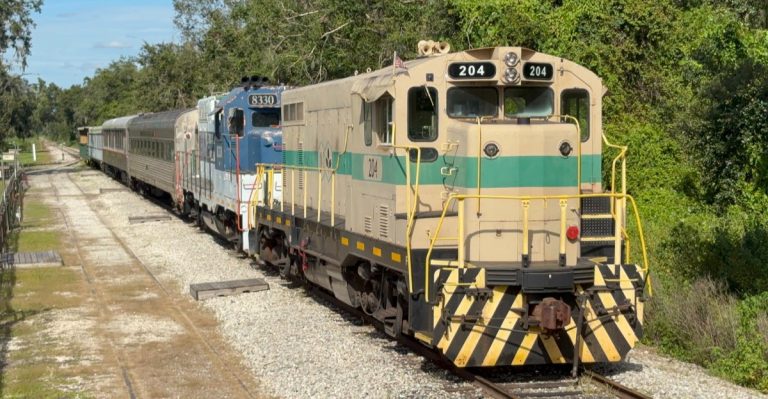 Ride A Vintage Narrow-Gauge Railroad Through Florida’s Piney Woods Near Tampa For Less Than $15