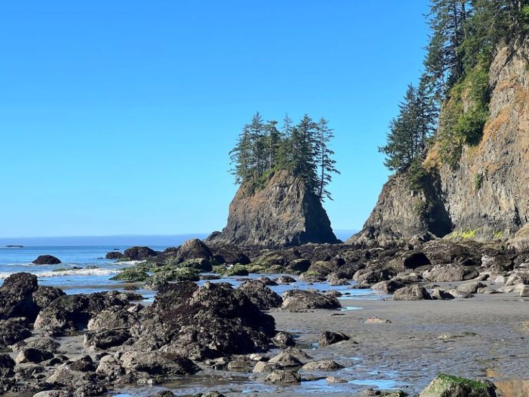 This Washington Beach Hides Its Very Own Waterfall And It’s Straight Out Of A Dream