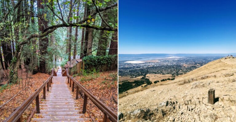 10 California Hiking Trails That Let You Enjoy The Outdoors Without Expensive Permits