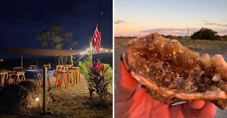 This Florida Fossil Site Lets Seashell Hunters Strike Gold Without An Ocean