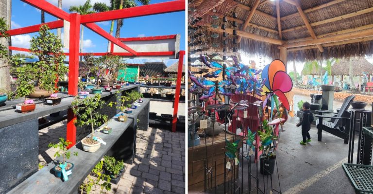 This South Florida Garden Market Pairs Endless Plants With Coffee And A Charming Gift Shop