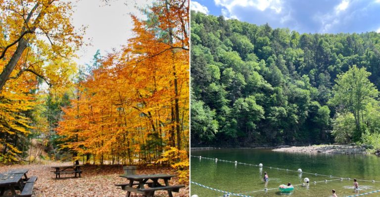 Locals Say This Pennsylvania Swimming Hole Is One Of The State’s Best Summer Getaways