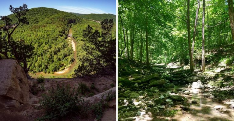 9 Arkansas Hiking Trails Locals Watch Closely In September Because Copperheads Are Still Active