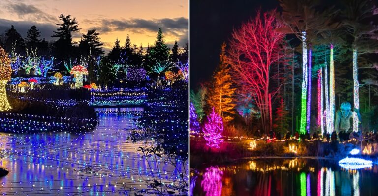 This Maine Botanical Garden Will Transform Into A Wonderland Of More Than 750,000 Lights This November