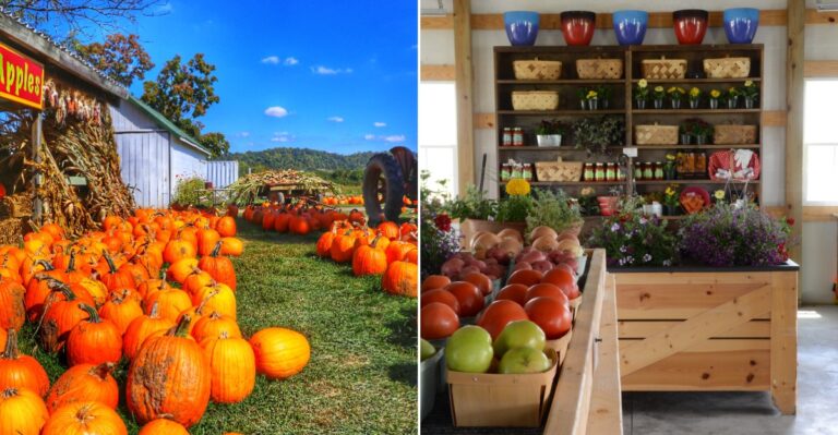 Kentucky’s 10 Roadside Farm Stands Are Bringing Back A Way Of Shopping Many Americans Have Forgotten