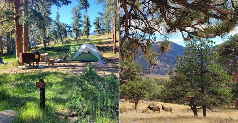 Locals Avoid This Colorado Camping Spot After Dark During The Fall Rut