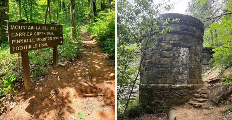 10 South Carolina Hiking Trails Locals Avoid In September Because The Copperheads Are Too Active