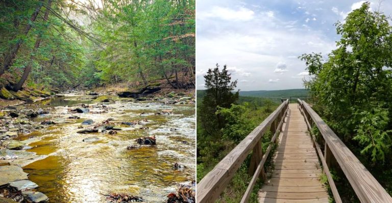 10 Ohio Hiking Trails Where You Should Watch Your Step For Copperheads In September