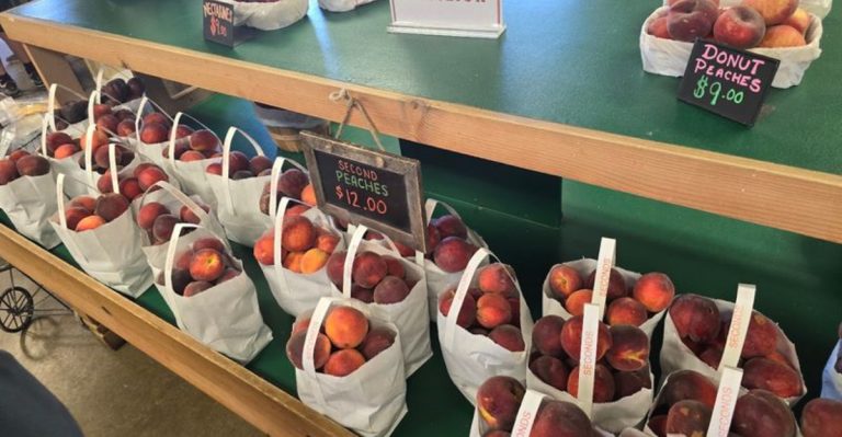 This Terrell Peach Stand Is Pure Texas Summer In One Stop