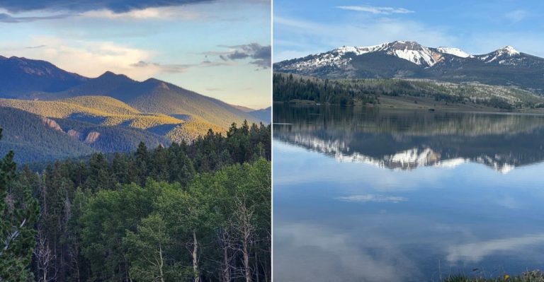10 Colorado Hiking Areas Where You Should Take Tick Precautions This Summer