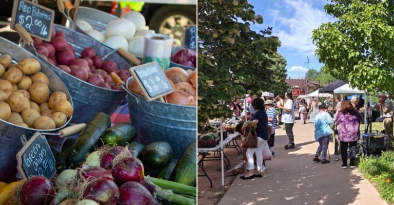 10 Colorado Markets Helping Families Save Thousands On Back-To-School Lunches