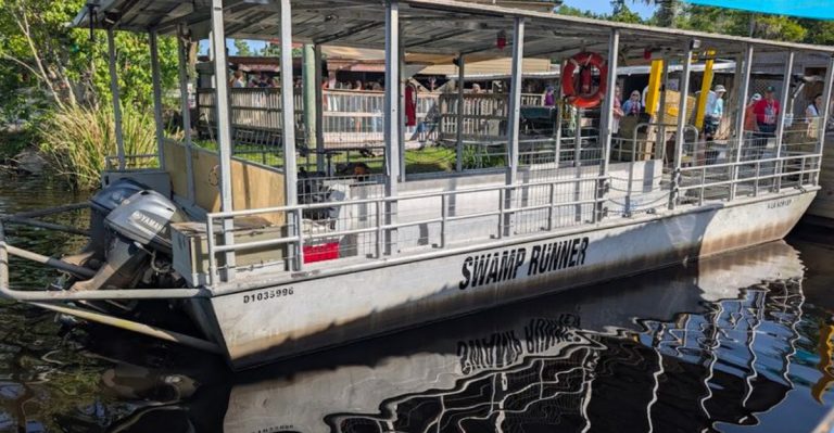This Louisiana Swamp Tour Gets You Face To Face With Alligators