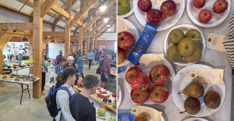 This Once-A-Year Maine Festival Celebrates Over 200 Historic Apple Varieties