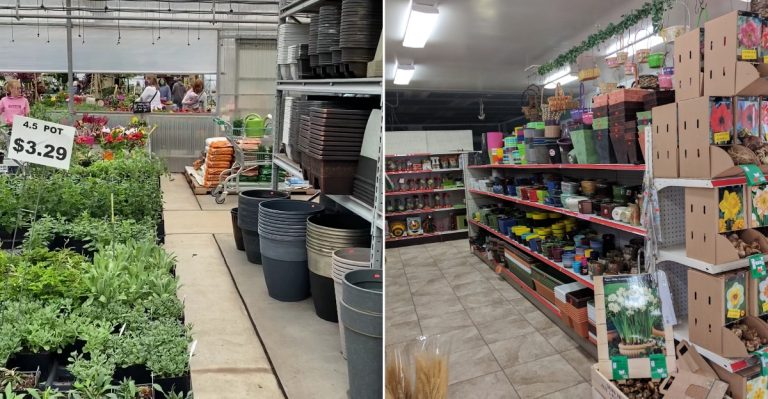This Pennsylvania Pottery Warehouse Is A Secret Goldmine For Affordable Pots And Garden Finds