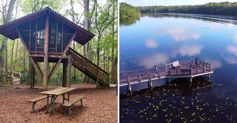 We Found An Adorable Florida Treehouse Stay That Costs Only $35 A Night