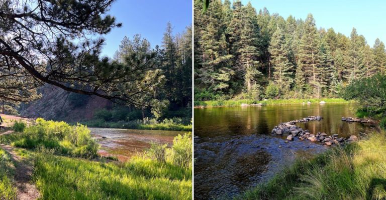 Colorado Campgrounds Where You Can Fish Straight From Your Campsite