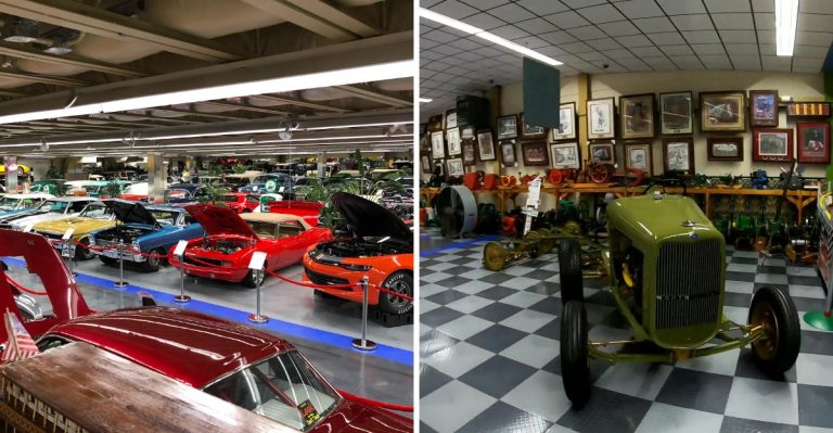 This Florida Car Museum Turns A Quick Detour Into A Whole Afternoon Inside Classic Cars