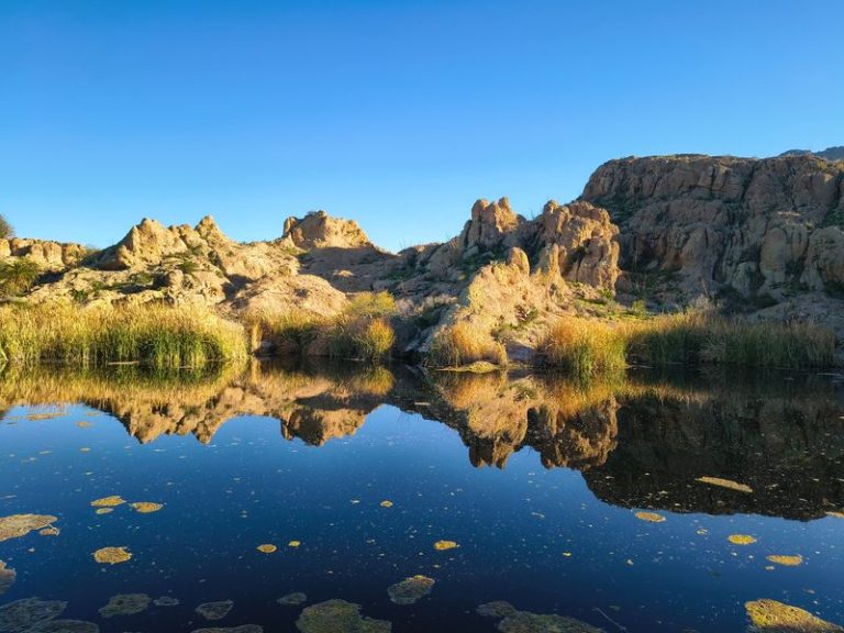 This Hidden Arizona Arboretum Hides 323 Acres Of Cacti Trails With Seriously Jaw-Dropping Views