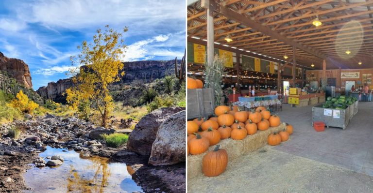 12 Ways To Find Cooler Temps Across The Desert This Fall