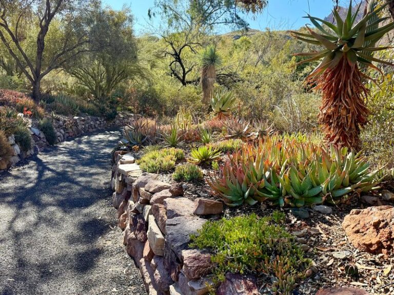 The Biggest Mistake At This Arizona Desert Garden Is Arriving After The 8 A.M. Bird Rush