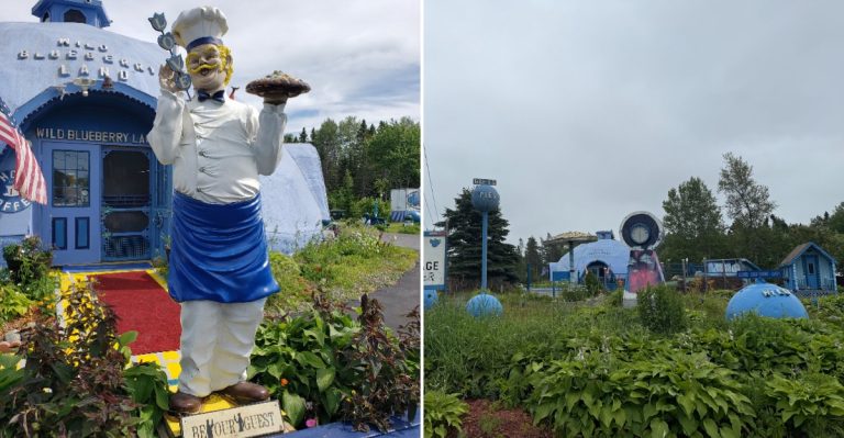 Maine Has An Old-School Blueberry Shop That Feels Like A Secret Local Market