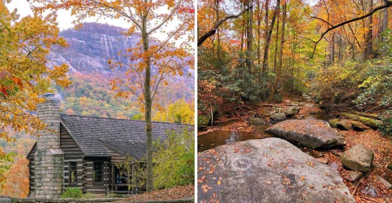 The Gorgeous South Carolina Hiking Trail That Locals Avoid During Fall Bear Foraging Season