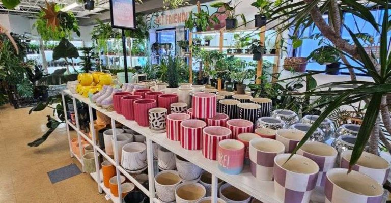 This Pennsylvania Plant Rescue Is A Quiet Goldmine For Cheap Plants, Pots And Garden Finds