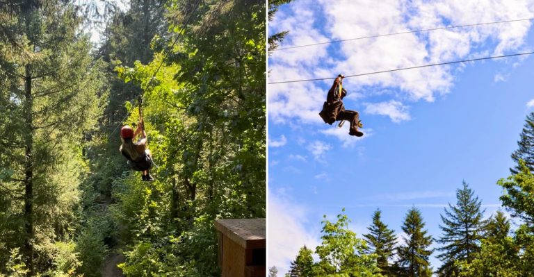 This Washington Zipline Runs More Than 900 Feet Through A Rainforest Canopy