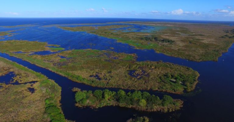 This Florida Lake Has Gone From Peaceful Retreat To The Center Of A Heated Local Argument