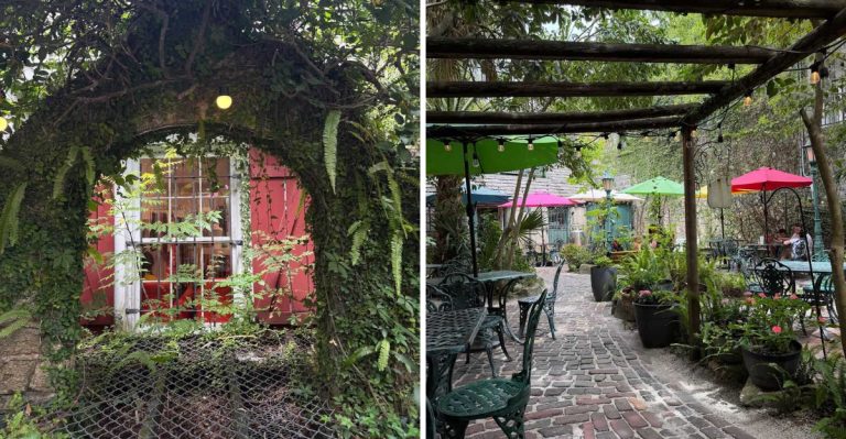 Behind A St. Augustine Shop Sits One Of Florida’s Most Charming Secret Gardens