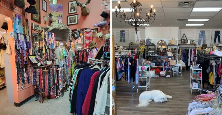 8 Treasure-Filled Arkansas Thrift Stores Worth Exploring This Fall