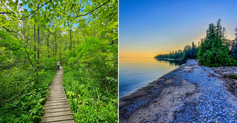 These Secret Michigan Hiking Spots Still Hide Snake Species That Have Survived For Generations