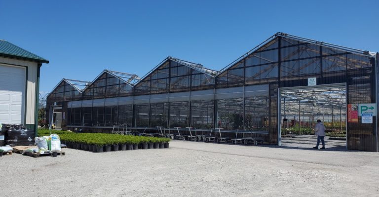 This Indiana Nursery Is Where Locals Go For Special Plants And Expert Advice