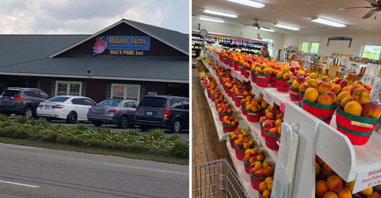 Where South Carolina Locals Buy Fresh Late Summer Produce Right Now