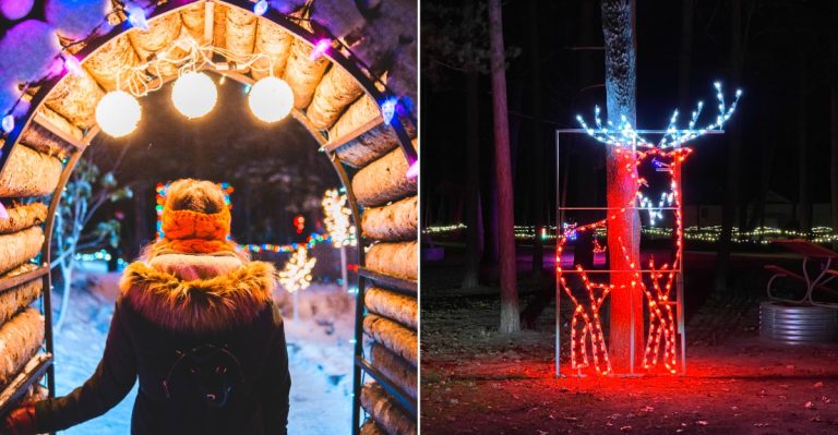 12 Michigan Holiday Light Displays Families Can See For Free Or Nearly Free