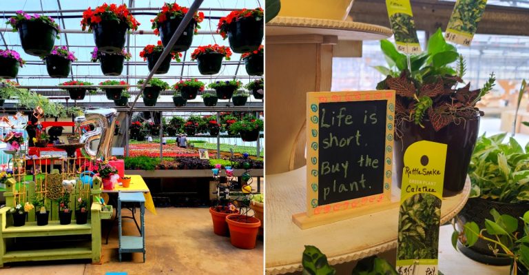 Crystal Springs Florist & Garden Center