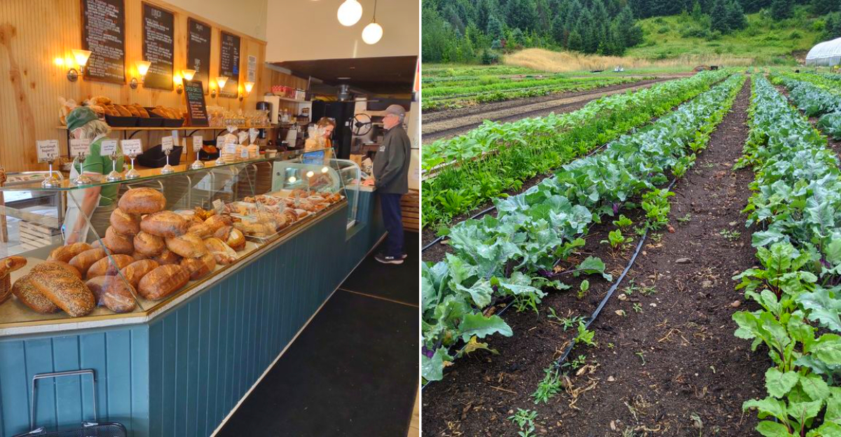 9 Bean Rows Bakery & Farm Market
