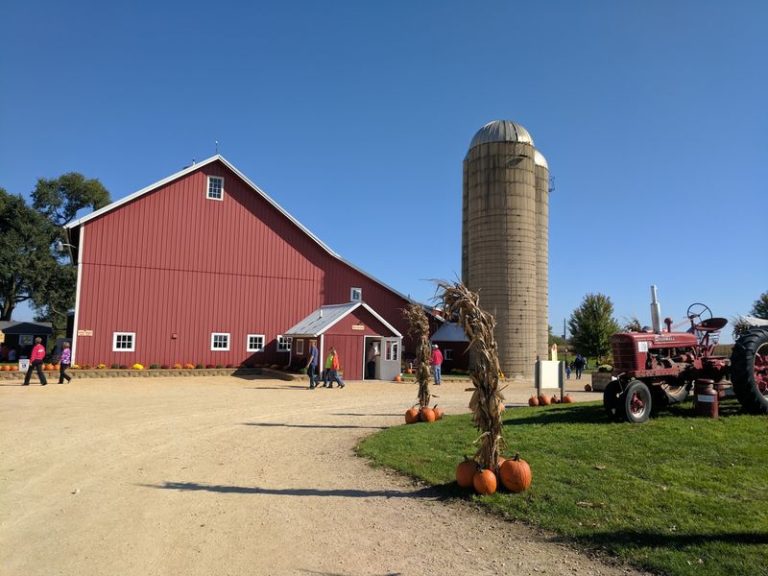 8 Illinois Apple Orchards Where A Whole Family Picks Apples